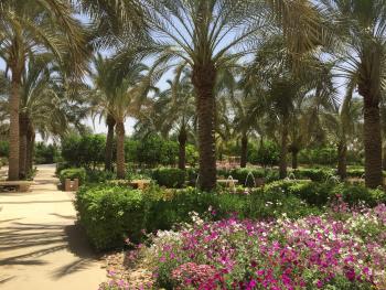 garden1