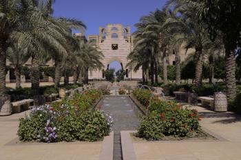 AUC garden
